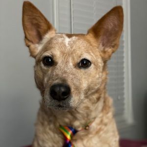 Meet your Posher, Kacey